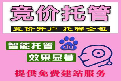 百度推广托管服务案例，见证品牌营销新突破